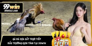 Gà Đá Cựa Sắt Trực Tiếp – Đấu Trường Kịch Tính Tại 99WIN